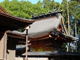 水戸八幡宮：透塀越に見える本殿の向拝と檜皮葺の屋根