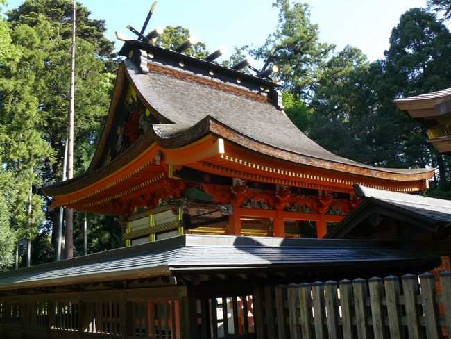 ���˔����{