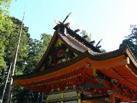 水戸八幡宮：本殿向拝木鼻の彫刻と懸魚と千木