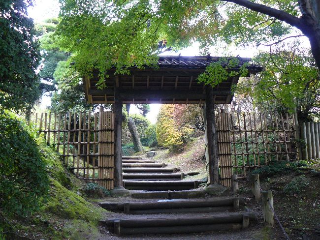 ���˘�y��