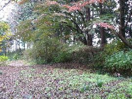 �͘a�c��F�����̓y��