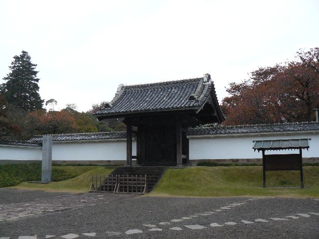 ���O����