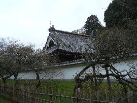旧弘道館：土塀越に見える至善堂の屋根