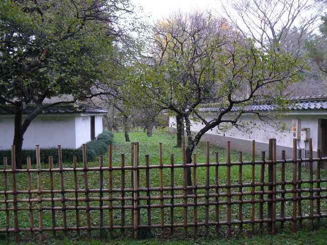 ���O����