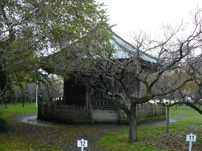 ���O����