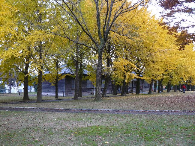 �����˔_�ƍ��Z