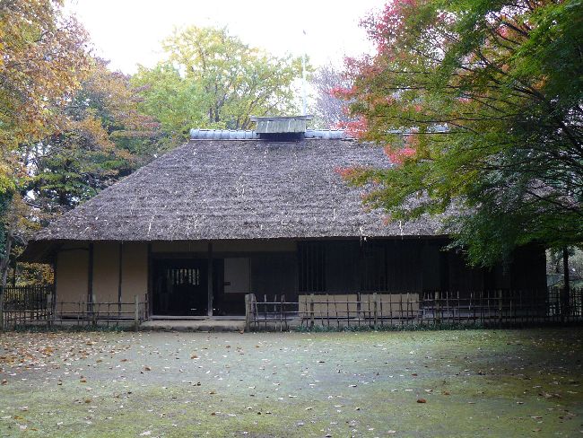 ���Ζ؉ƏZ��