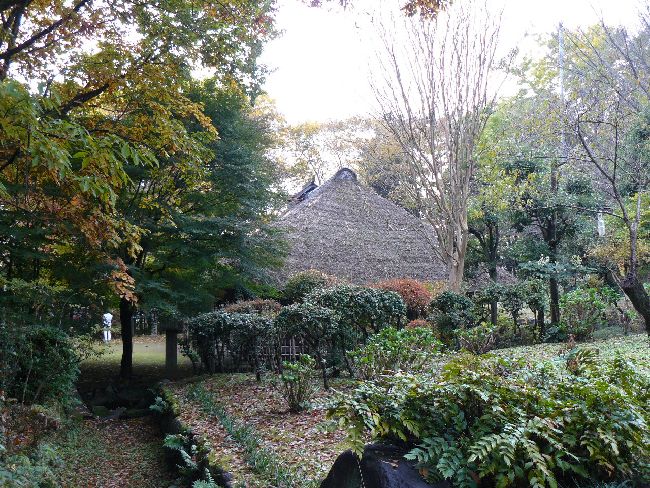 ���Ζ؉ƏZ��