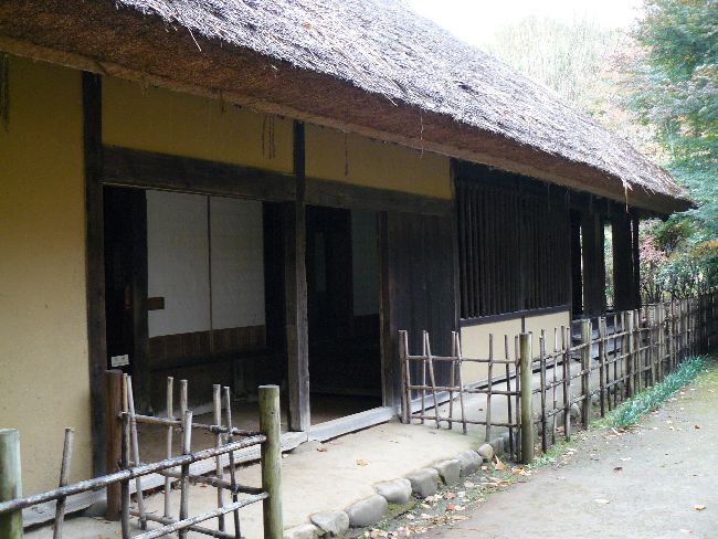 ���Ζ؉ƏZ��