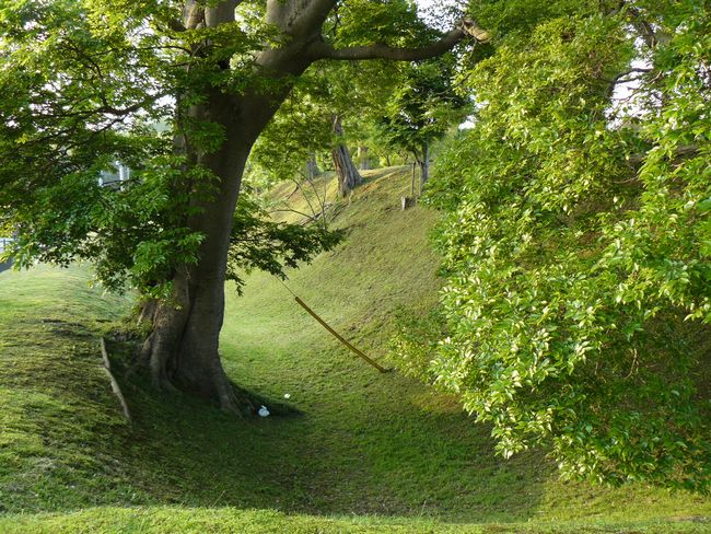 ���ˏ�{��