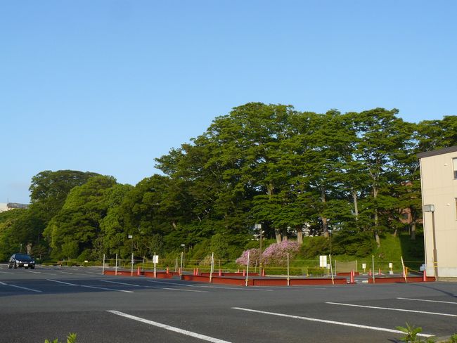 ���ˏ�{��