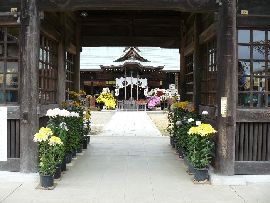 吉田神社の随身門（神社山門）から見た境内
