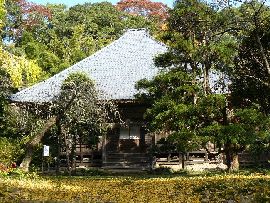 青蓮寺：植栽越に見える歴史ある本堂
