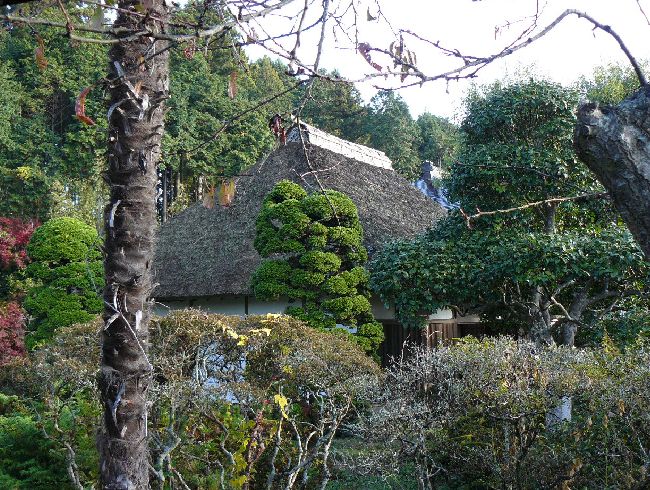 �x�]�Ə��@