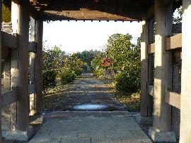 枕石寺山門から見た石畳の参道