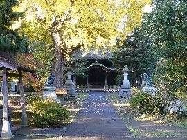 佐竹寺の苔生した参道と紅葉が美しいイチョウ