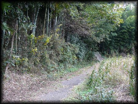 ��n��F�o�铹