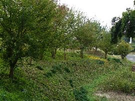 ��n��F�ȗ֐�