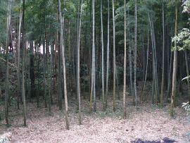 ��n��F��x