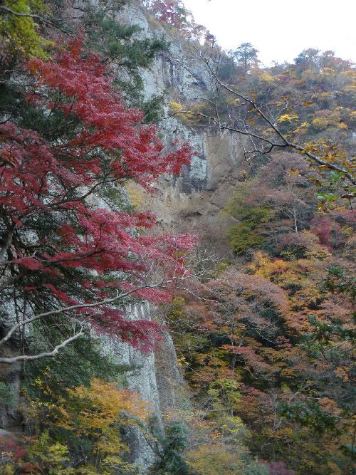 袋田の滝・断崖