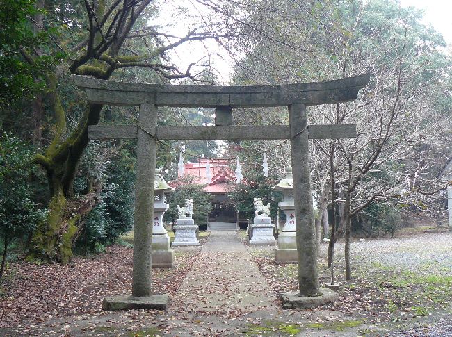 �����_��