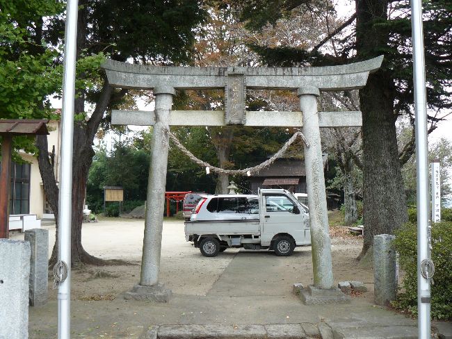 �����_��