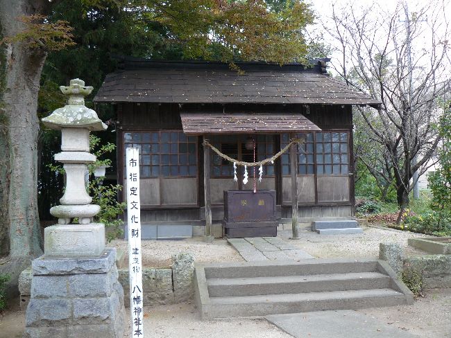 �����_��