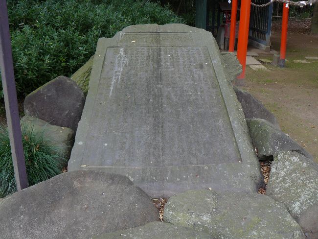 �����_��