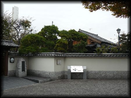 �J�g�R����