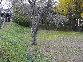 �ɍ���F��V�s�Ǝv���镽��Ɠy��