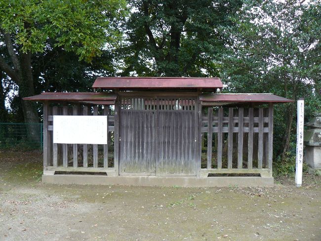 �}���s�E�ω���