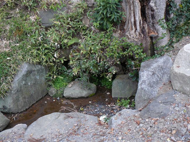 �}���s�E�ω���