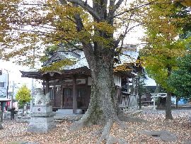 桑山神社：大欅越に見える拝殿