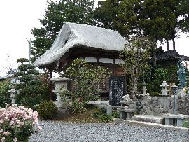 ��J���F�������猩�����󑠓�