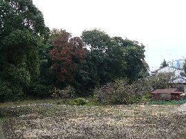 ���ُ�F��n���猩���O�s�̏�ە�