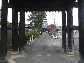 �������F�R�傩�猩�������̗l�q