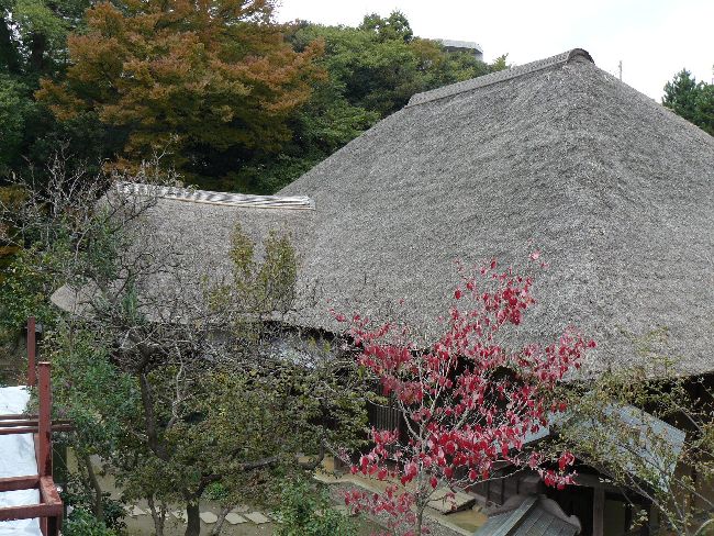 �����h�{�w