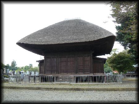 ���T���O��������