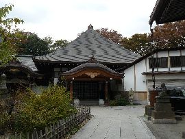 ���T���F�����̗l�q