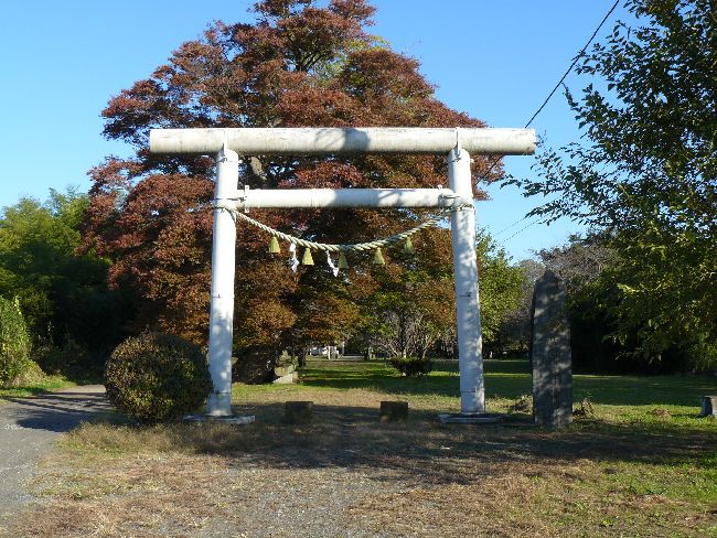 �����ʗ��_��