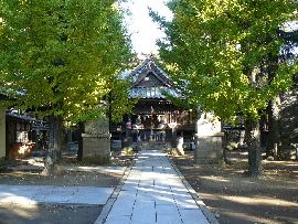 金村別雷神社の参道、左右にはイチョウ
