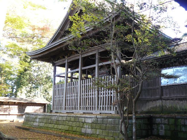 �����ʗ��_��