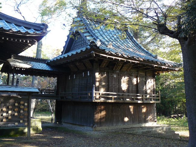 �����ʗ��_��