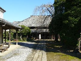 �c�����������猩���ɗ�