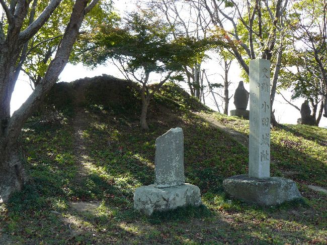 ���c��E�ʐ^�Q