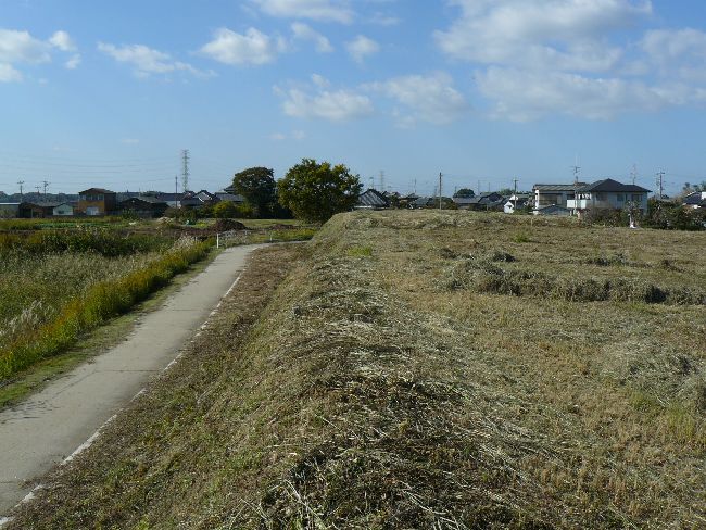 ���c��E�ʐ^�U