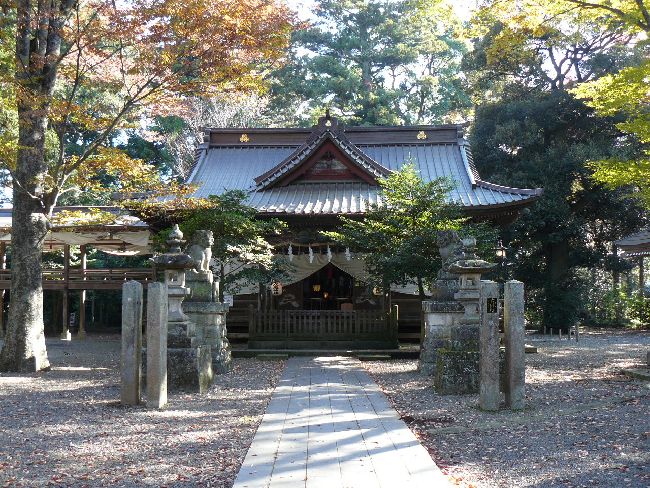 ��m���_��