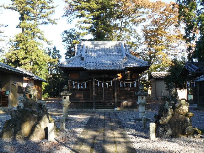 �g�������_��