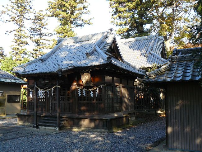 �g�������_��