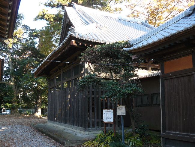 �g�������_��